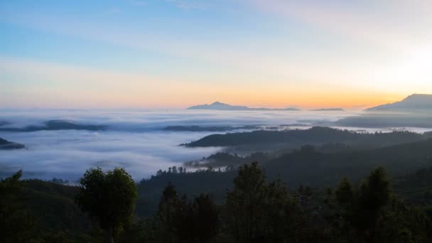 Paisaje del amanecer en las montañas del bosque con una niebla, Sri Lanka timelapse — Vídeo de stock