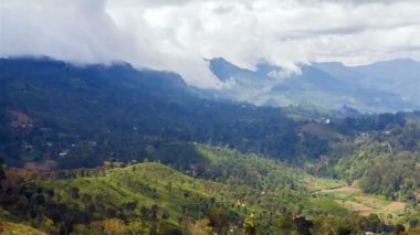 Haputale, Sri Lanka timelapse dağ çay tarlaları manzara