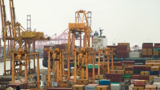 Pojemnik port, Colombo, Sri Lanka — Wideo stockowe