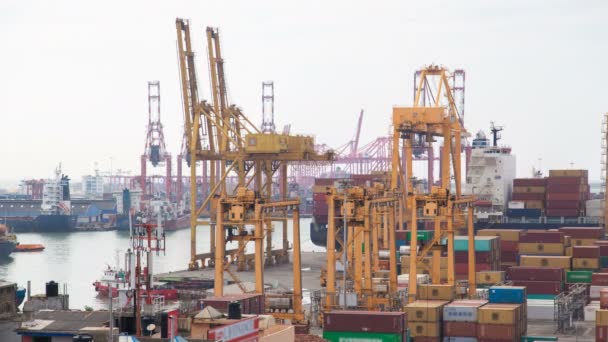 Kontejner port, Colombo, Srí Lanka — Stock video