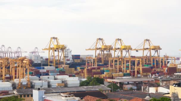 Porto de contentores, Colombo, Sri Lanka — Vídeo de Stock