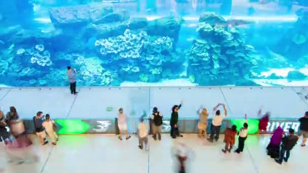 Einkaufszentrum Aquarium Zeitraffer dubai. Schwenk nach oben — Stockvideo