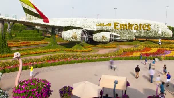 Dubai Wunder Garten Flugzeuge Zeitraffer. Schwenk nach oben — Stockvideo