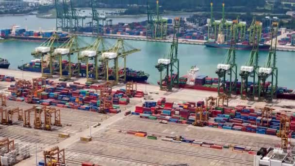 Дневной контейнерный порт в Сингапуре. pan up — стоковое видео
