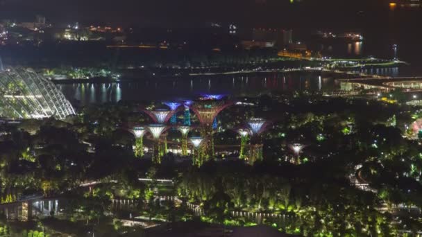 Singapore Gardens with ships night-lapse. pan up — стоковое видео