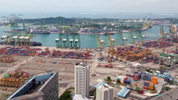 Singapore Dag Stadsbilden Containerhamnen Logistik Time Lapse Panorera Upp — Stockvideo