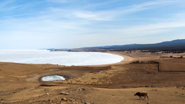 Lake Baikal Olkhon Island landscape timelapse — Stock Video