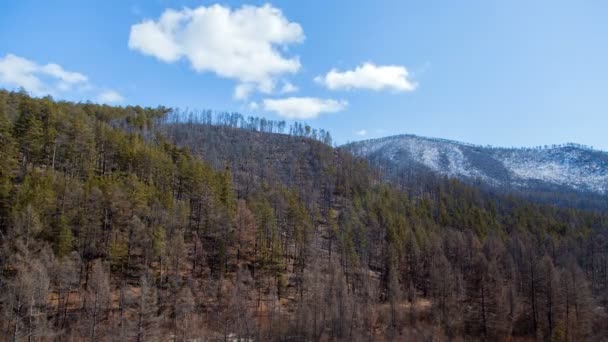 Het Baikalmeer bos Olkhon Island timelapse — Stockvideo