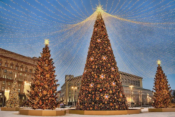 MOSCOW, RUSSIA - Christmas Trees Under Canopy of Lights at Lubyanka square in Twilight. New Year decorations to upcoming winter hlidays.