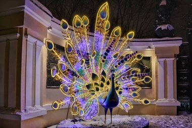 Moskova, Rusya - 05 Ocak 2019 - ışıklı peacock girişinde Moskova Hayvanat bahçesine Bahçe yüzük (Sadovoye Koltso) kış tatillerinde şaşırtıcı.