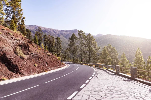 Pintoresco camino arbolado de montaña en un día soleado —  Fotos de Stock