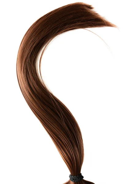 Cola de caballo larga y saludable pelo castaño liso sobre fondo blanco — Foto de Stock