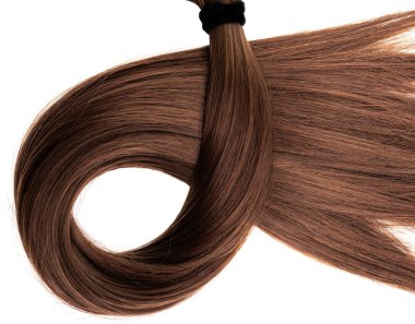 uzun kahverengi saçları at kuyruğu beyaz arka plan üzerinde