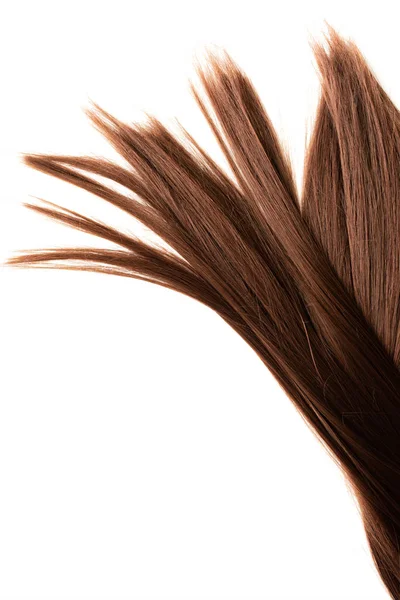 Довге коричневе волосся на білому тлі — стокове фото
