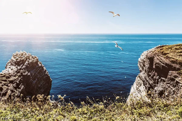 Cliffs on Helgoland island against blue sea and sky — Stock Photo, Image