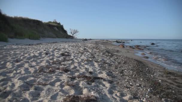 Costa alta y playa natural vacía en el mar báltico — Vídeo de stock