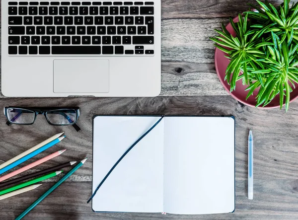 Notatnik, laptop i zielonych roślin soczyste na biurko z drewna — Zdjęcie stockowe