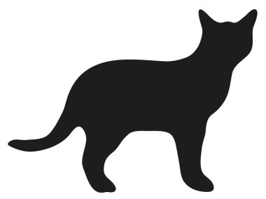 yerli kedi silüeti