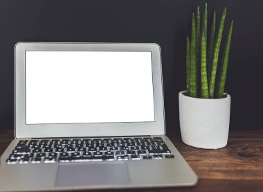 dizüstü bilgisayar boş beyaz ekran ve ahşap masa koyu arka plan üzerine etli bitki saksı