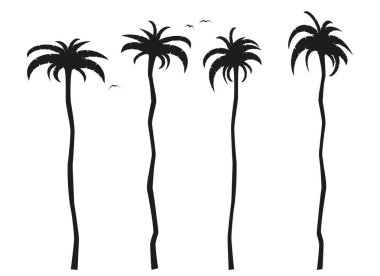 basit düz siyah ve beyaz uzun palmiye ağaçları simgesi
