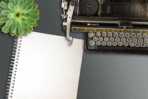 blank open spiral-bound notepad, old typewriter and succulent plant on desk