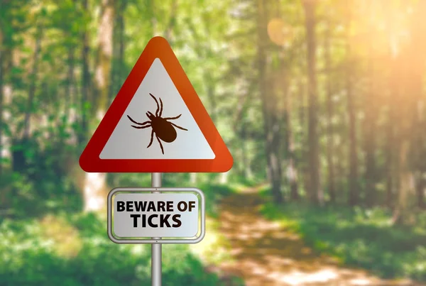 Warning sign with text BEWARE OF TICKS, against defocused forest background — Stock Photo, Image