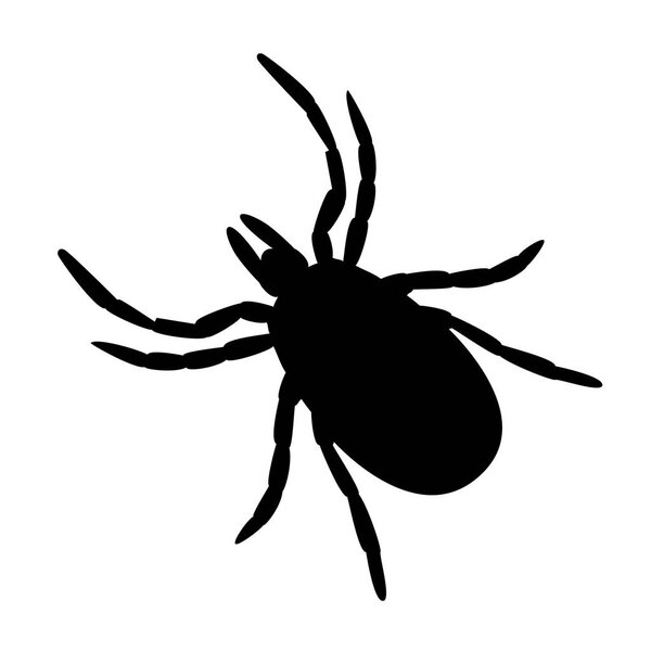 simple black and white tick symbol or icon