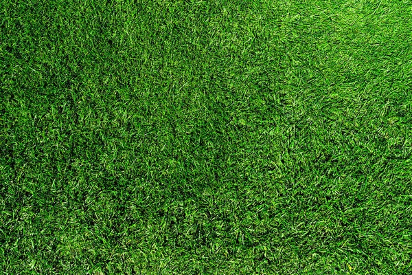 Blick von oben auf frisches grünes Gras oder Rasen — Stockfoto