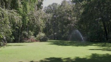 güneşli bir günde bahçe veya halka açık parkta çim sprinkler sulama çim