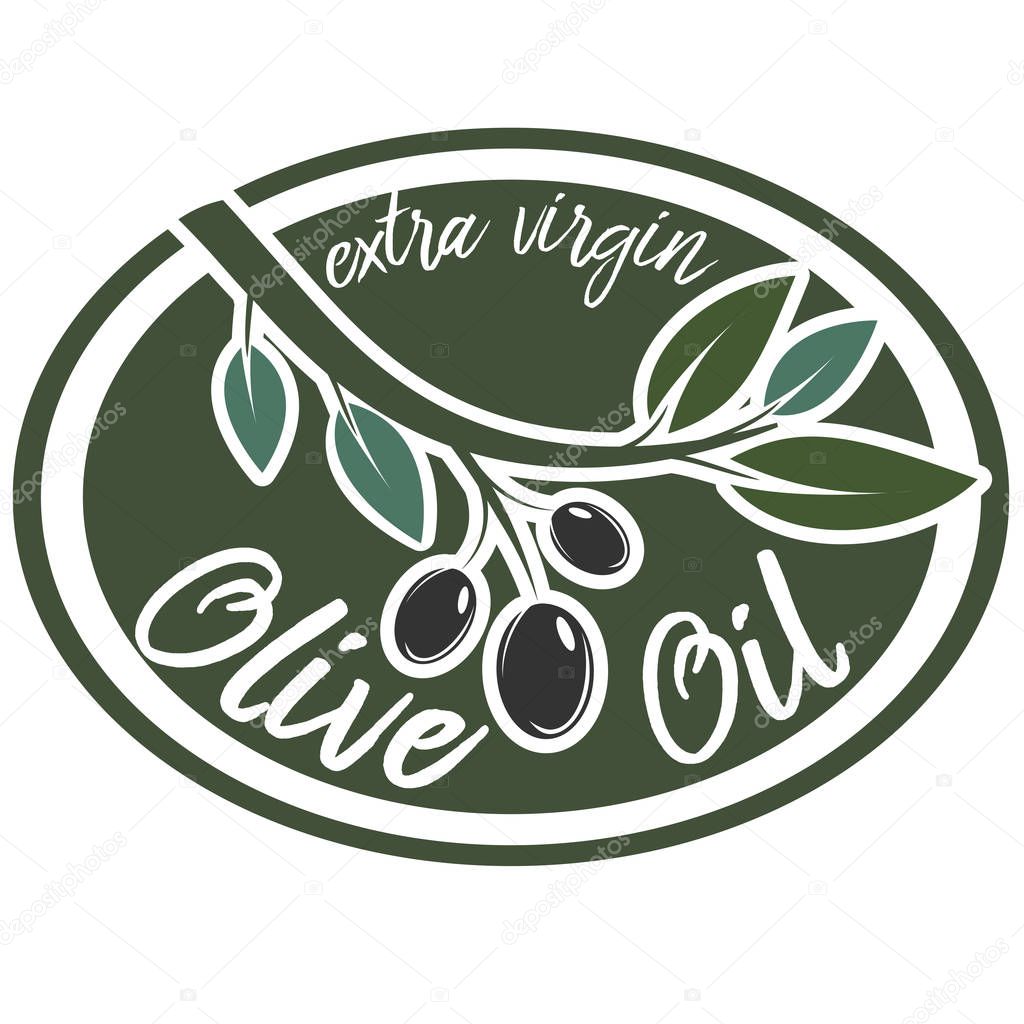 Oval olive oil logo or badge with olive branch and text extra virgin olive oil vector illustration