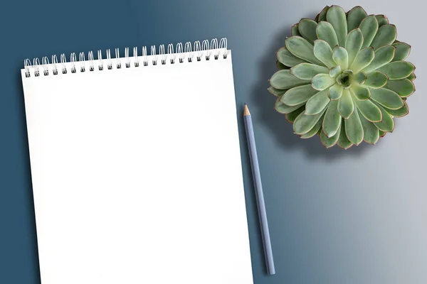 Üres fehér spirál notebook a tiszta íróasztal cserepes zamatos növény és ceruza — Stock Fotó