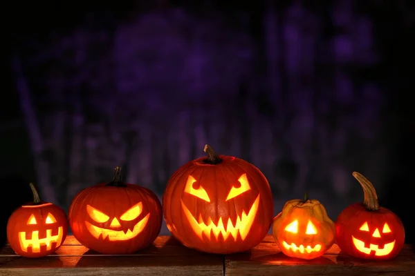 Group Halloween Jack Lanterns Night Spooky Forest Background — Stock Photo, Image