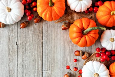 Sonbahar köşe sınır turuncu ve beyaz kabaklar ve kopya alanı hafif bir gri ahşap zemin üzerine çilek