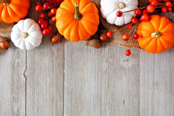 Herbstliche Oberkante Aus Orangen Und Weißen Kürbissen Und Beeren Auf — Stockfoto