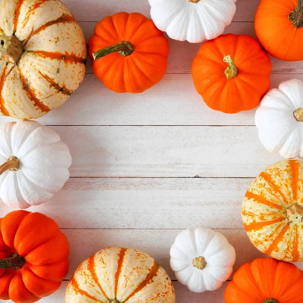 Autumn square frame of orange, white and striped pumpkins on a white wood background. Top view with copy space.