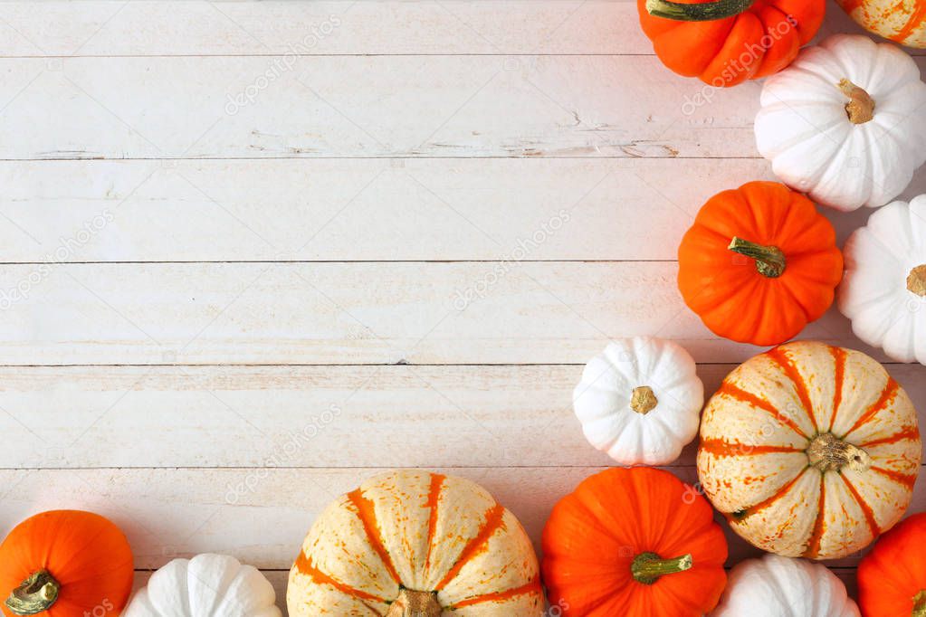 Autumn corner border of orange, white and striped pumpkins on a white wood background. Top view with copy space.