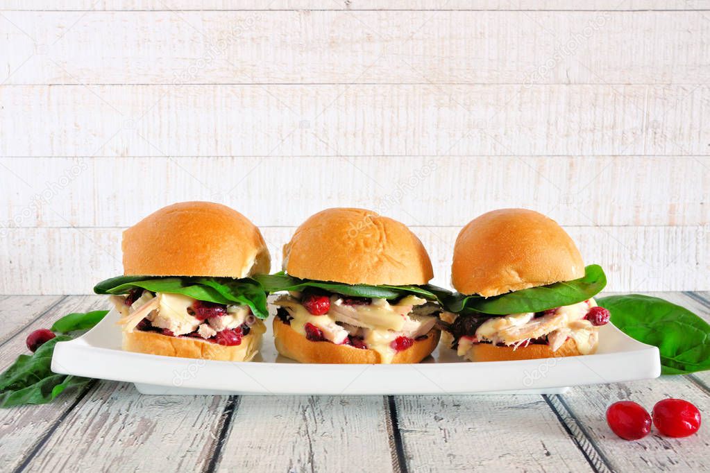Roasted turkey sandwiches with cranberry sauce and cheese. Group on a serving plate against a white wood background.