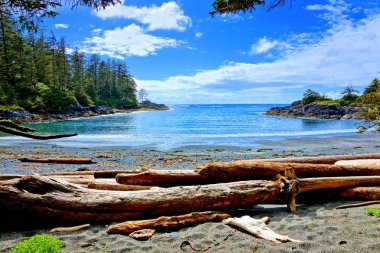 Masmavi bir deniz ve gökyüzü boyunca sahil, Pasifik Kıyısı Milli Park, Vancouver Adası, Bc, Kanada