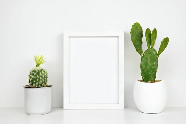 Κορνιζώστε Λευκό Πλαίσιο Φυτά Κάκτου Ένα Ράφι Επιφάνεια Εργασίας Λευκό — Φωτογραφία Αρχείου