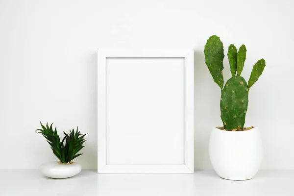 Κορνιζέψτε Λευκό Πλαίσιο Κάκτους Και Ζουμερά Φυτά Ένα Ράφι Επιφάνεια — Φωτογραφία Αρχείου