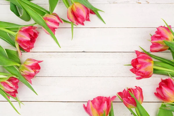 Dubbele Hoek Grens Van Roze Tulp Bloemen Tegen Een Witte — Stockfoto