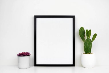 Siyah çerçeve bir raf veya Resepsiyon tencere etli ve kaktüs bitkileri ile alay. Beyaz raf ve duvar. Dikey Çerçeve yönlendirme.