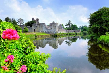 Medieval Desmond Castle, Ireland with river reflections and flowers, Adare, County Limerick clipart