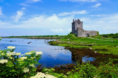 , Irlanda yansımaları ve çiçekler ile Galway Körfezi kıyısında Ortaçağ Dunguaire Kalesi görünümü