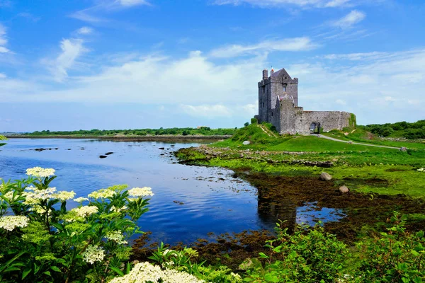 View Medieval Dunguaire Castle Shore Galway Bay Reflections Flowers Ireland — Stock Photo, Image