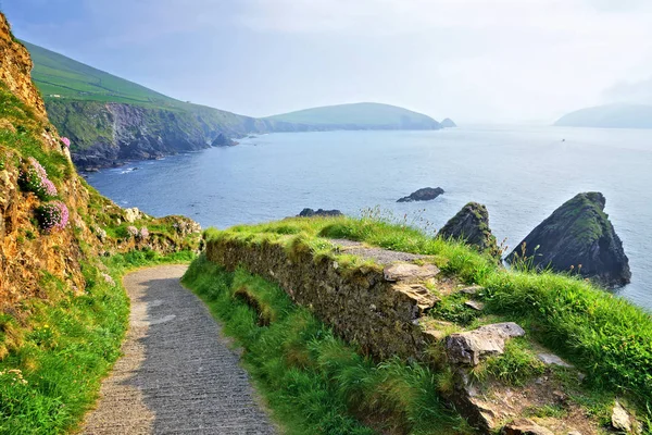 Road Rocky Coast Dunquin Harbour Dingle Peninsula County Kerry Ireland — Stock Photo, Image