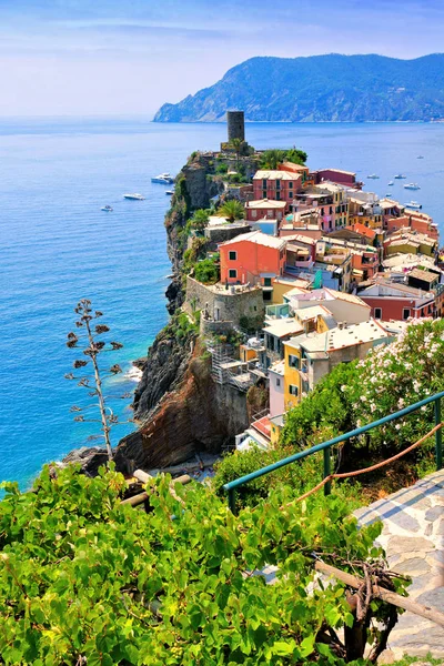 Widok Wybrzeże Capri Skałami Faraglioni Kwiatami Łodziami Błękitnym Morzu Włochy — Zdjęcie stockowe