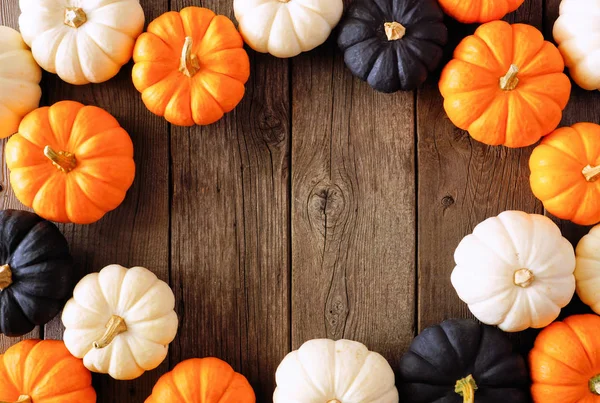 Őszi Sütőtök Keret Halloween Színek Narancssárga Fekete Fehér Ellen Rusztikus — Stock Fotó