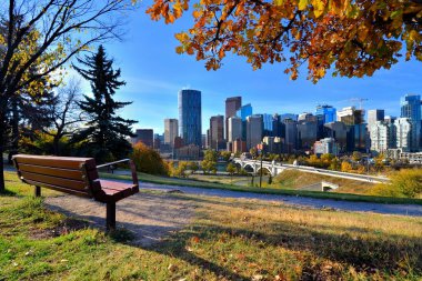 Sonbahar boyunca Calgary, Alberta silüeline bakan bir parktan manzara