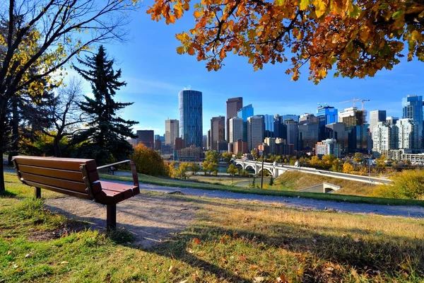 Utsikt Fra Park Med Utsikt Calgary Alberta Høst – stockfoto